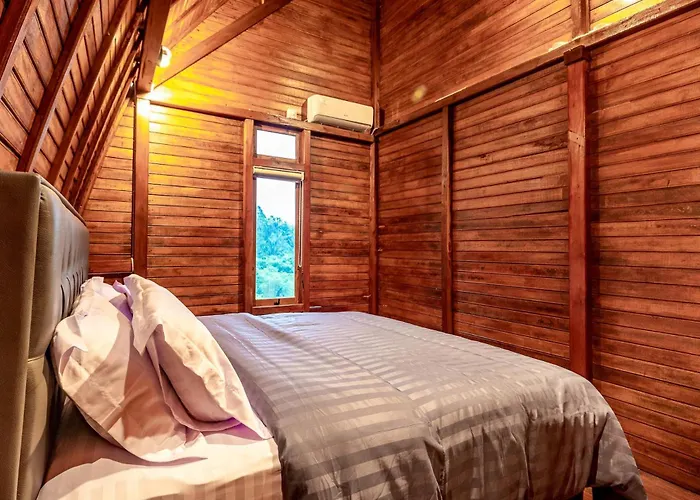Shankara Forest Haven By Agata